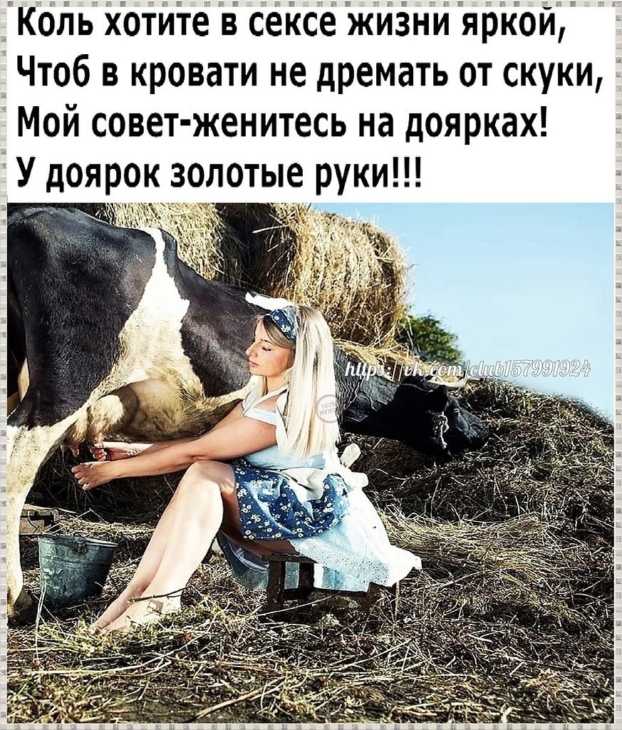 Доярка прикол